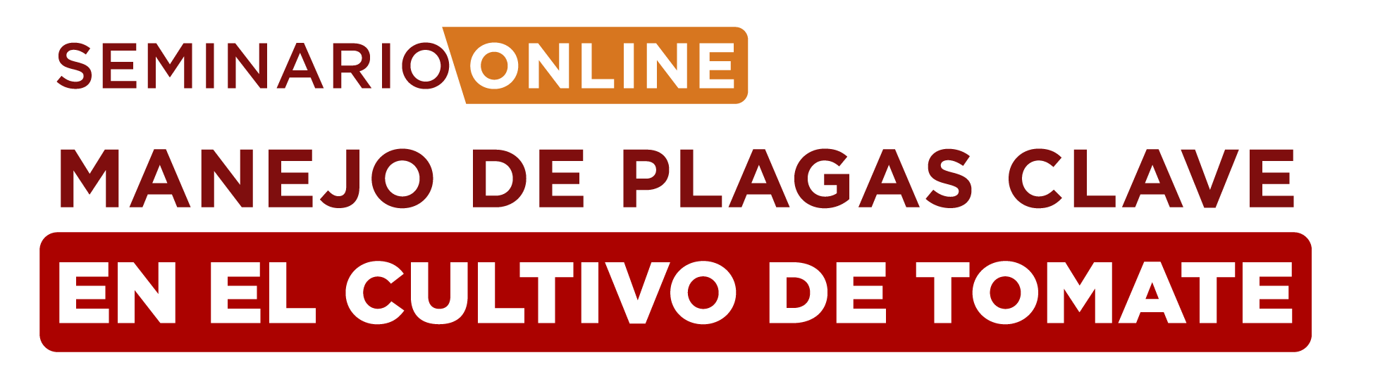 Seminario online Manejo de Plagas Clave de Tomate Instituto ENTOMA